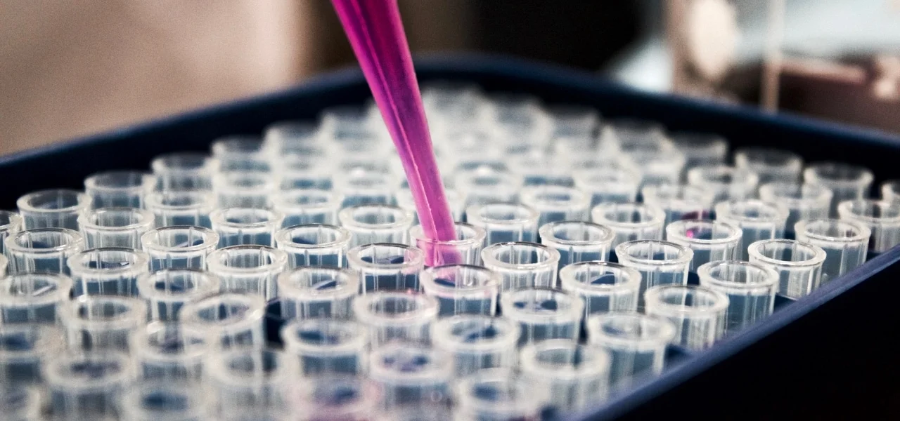 Action anti-métastatique du CBD