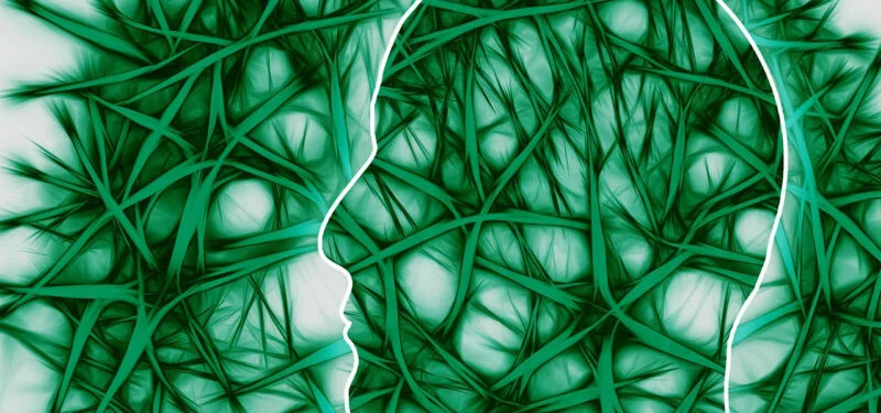 Système endocannabinoïde CBD PanaCBD