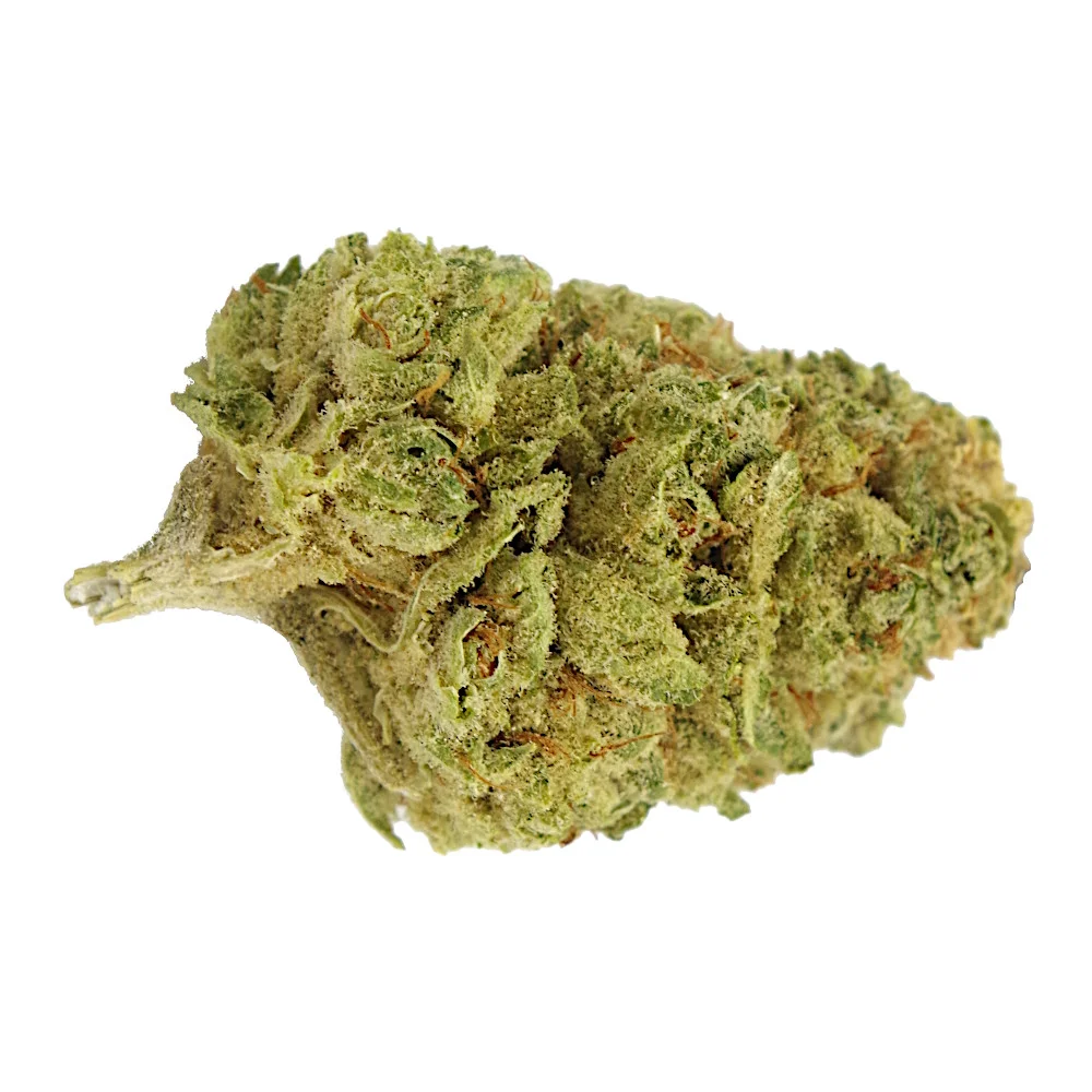 White Russian fleur de CBG PanaCBD