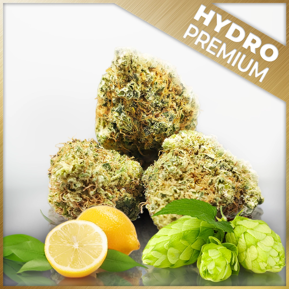 PanaCBD, Sour Diesel, CBD, Fleur, Agrumes, Hydroponique, Indoor, Intérieur