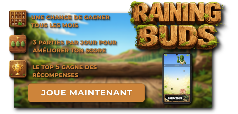 Raining Buds joue maintenant